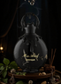 Miss Armaf Mystique Eau de Parfum 100 ml – Warm Vanilla Amber